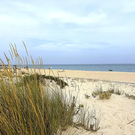 Serene Haven - Refugio Do Apartamento